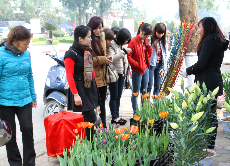 Chùm ảnh về chợ hoa Tết Thái Nguyên năm 2014